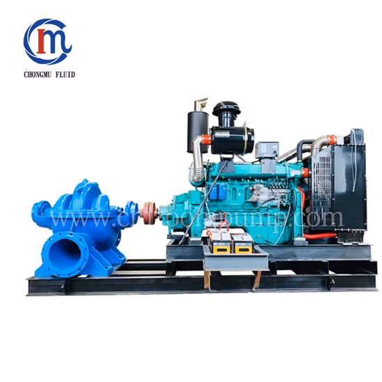 Horizontal Single-Stage Double Suction Split Casing Centrifugal Water Pump